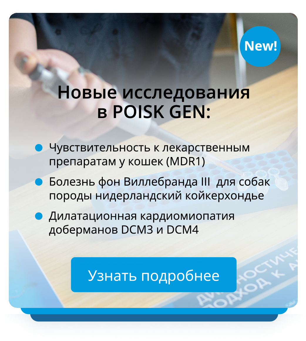 Новинки поиск ген