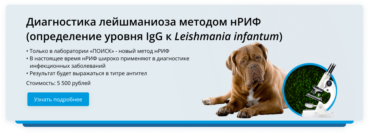 Диагностика лейшманиоза