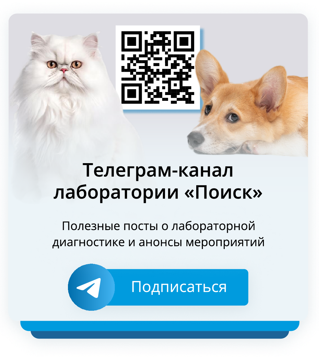 Анонс телеграм-канала