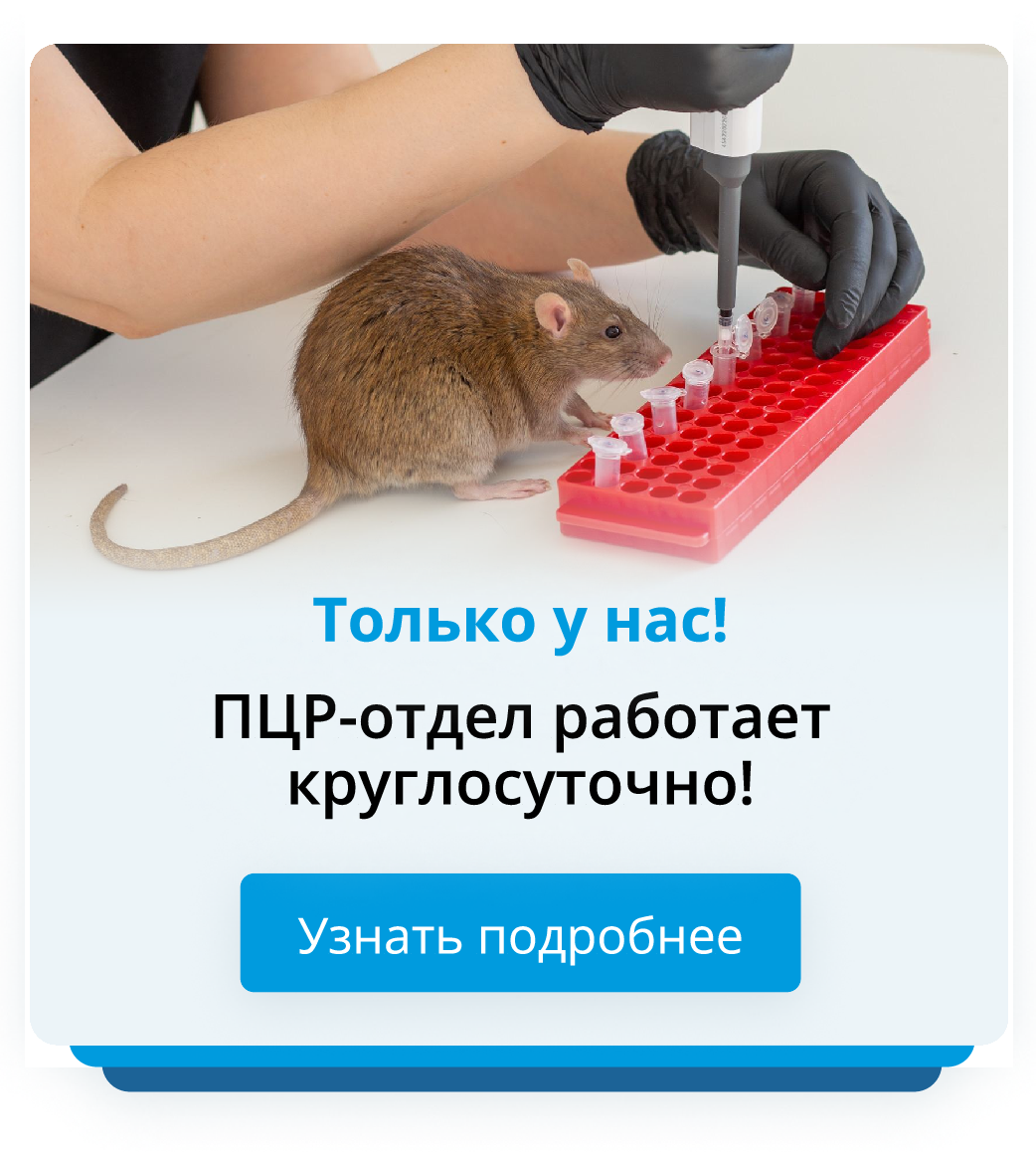 ПЦР ночные смены