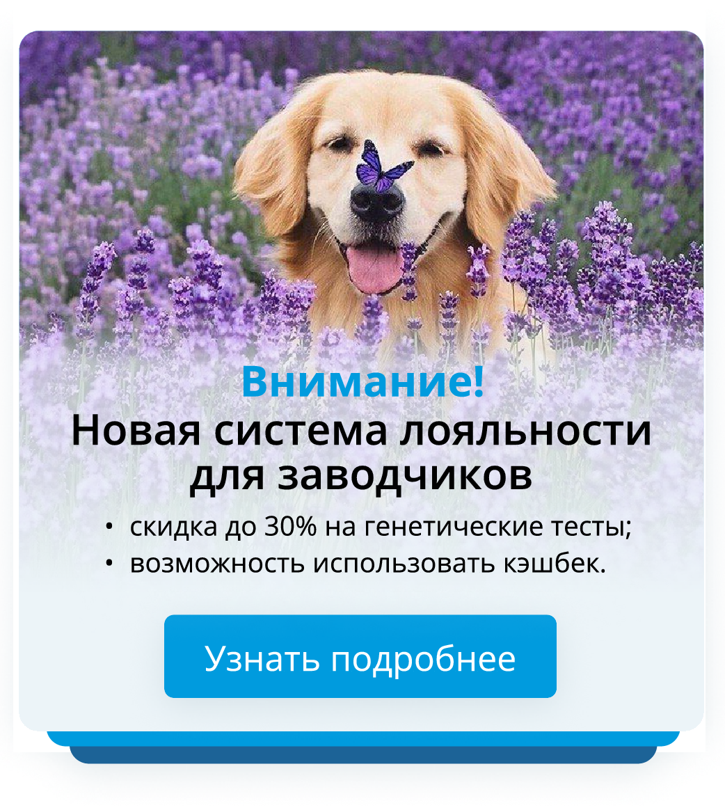 Новая система лояльности
