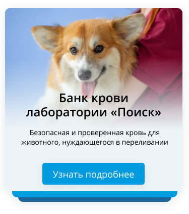 Банк крови