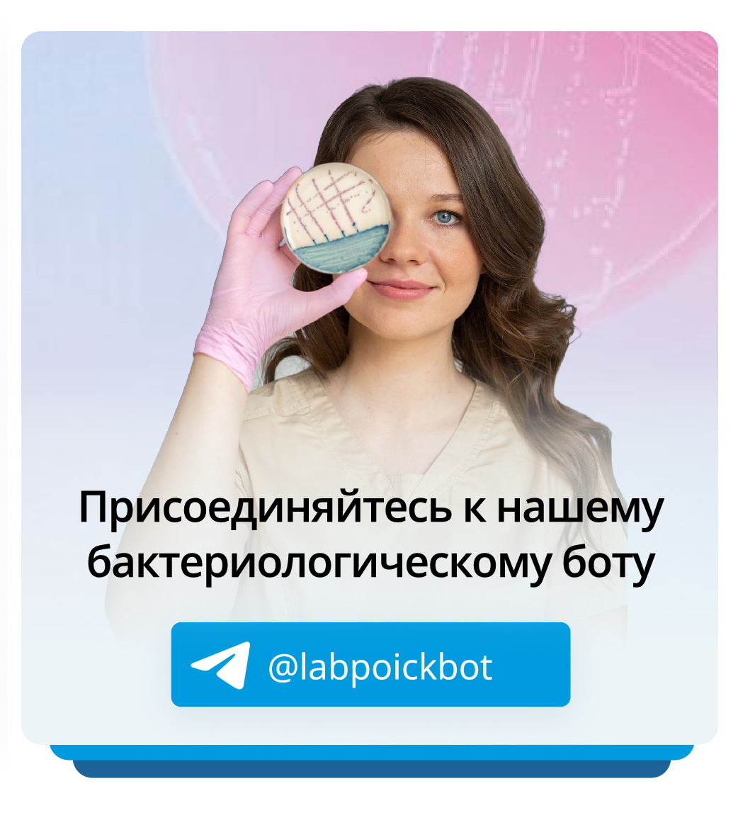 Бот по бак отделу