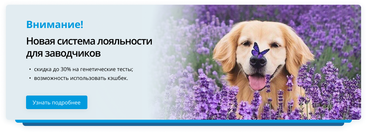 Новая система лояльности