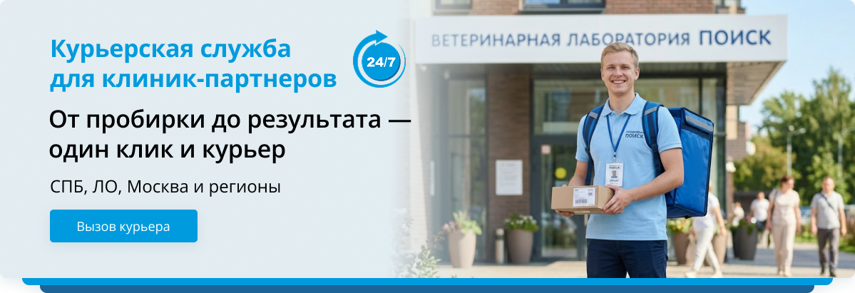 курьерская служба
