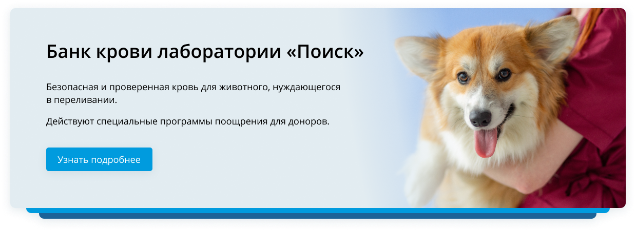 Банк крови