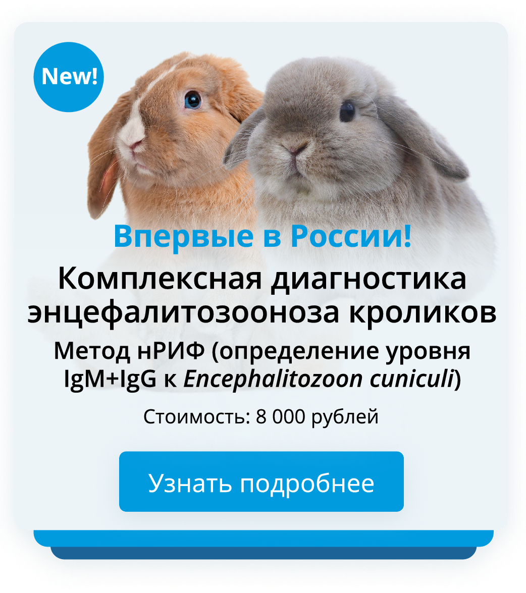 Диагностика энцефалитозооноза кроликов
