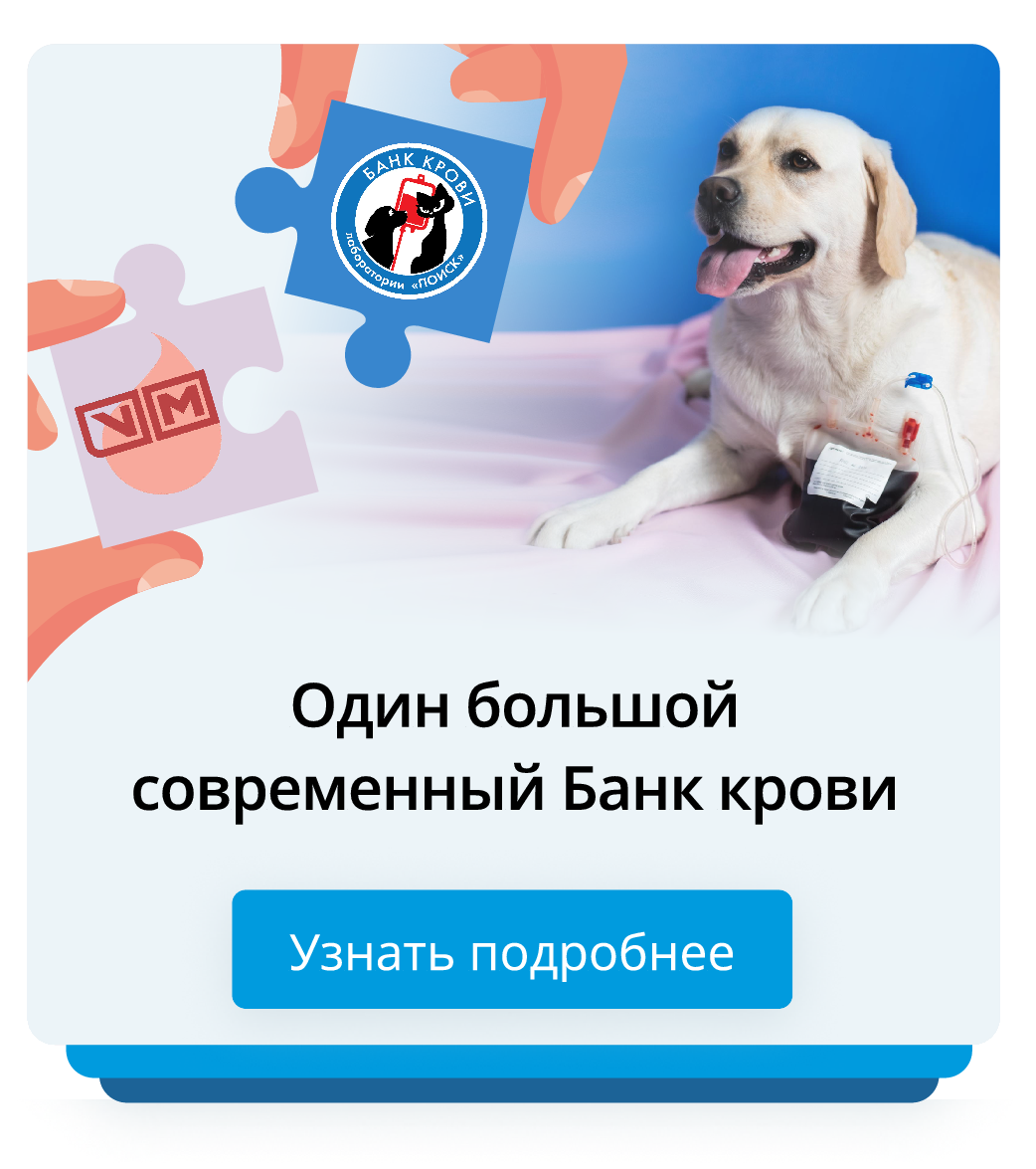 Банк крови