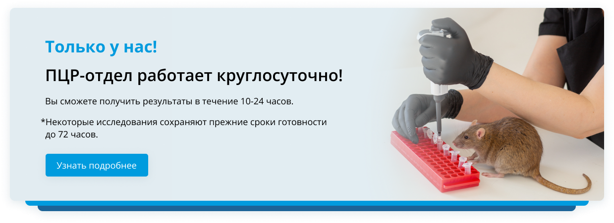 ПЦР ночные смены