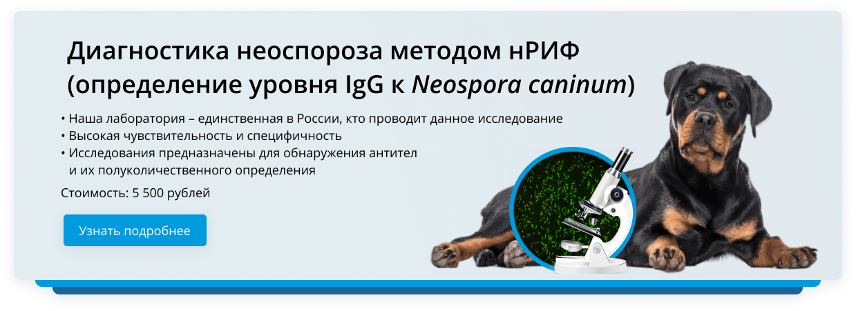 Диагностика неоспороза собак