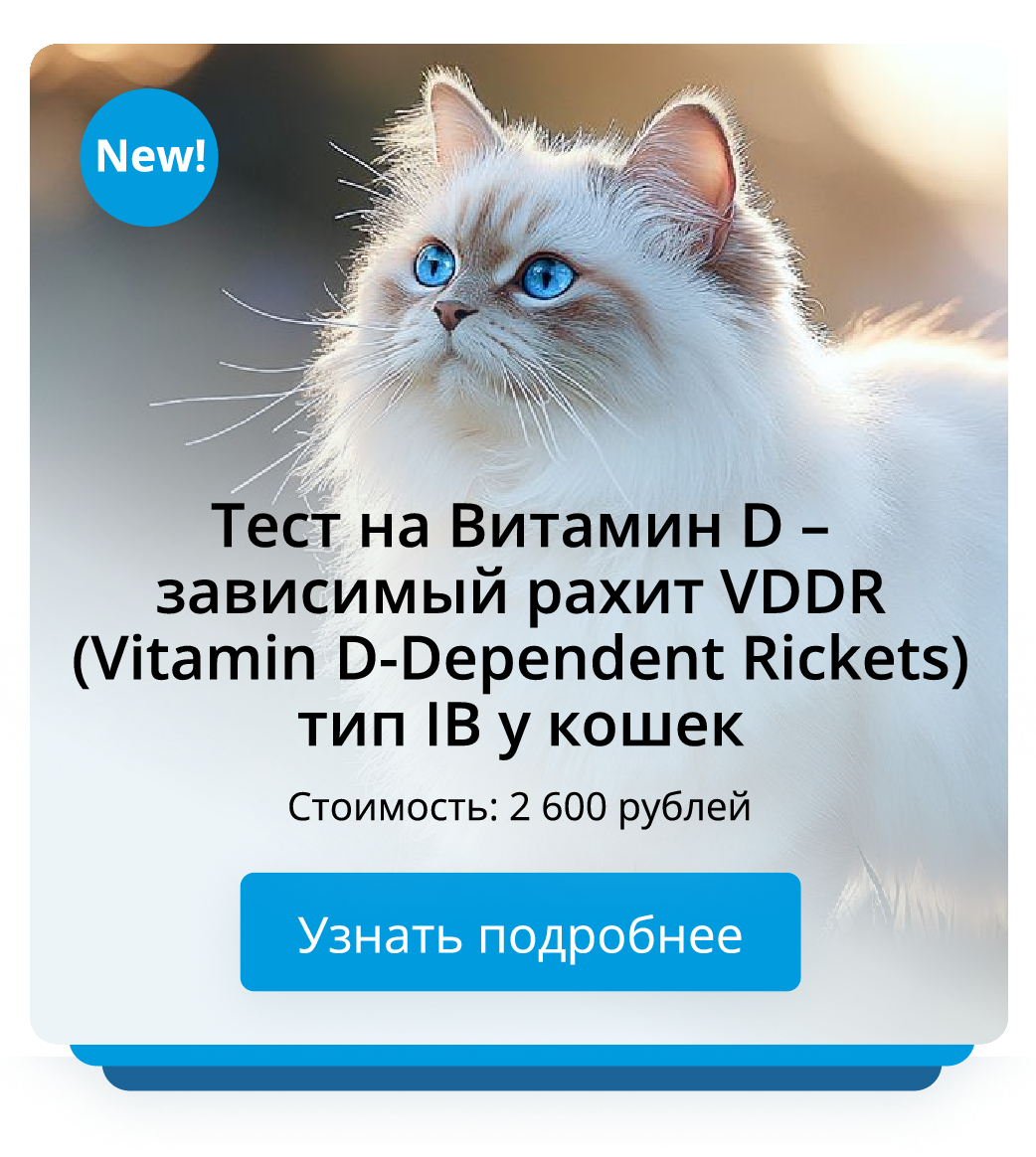 Витамин D