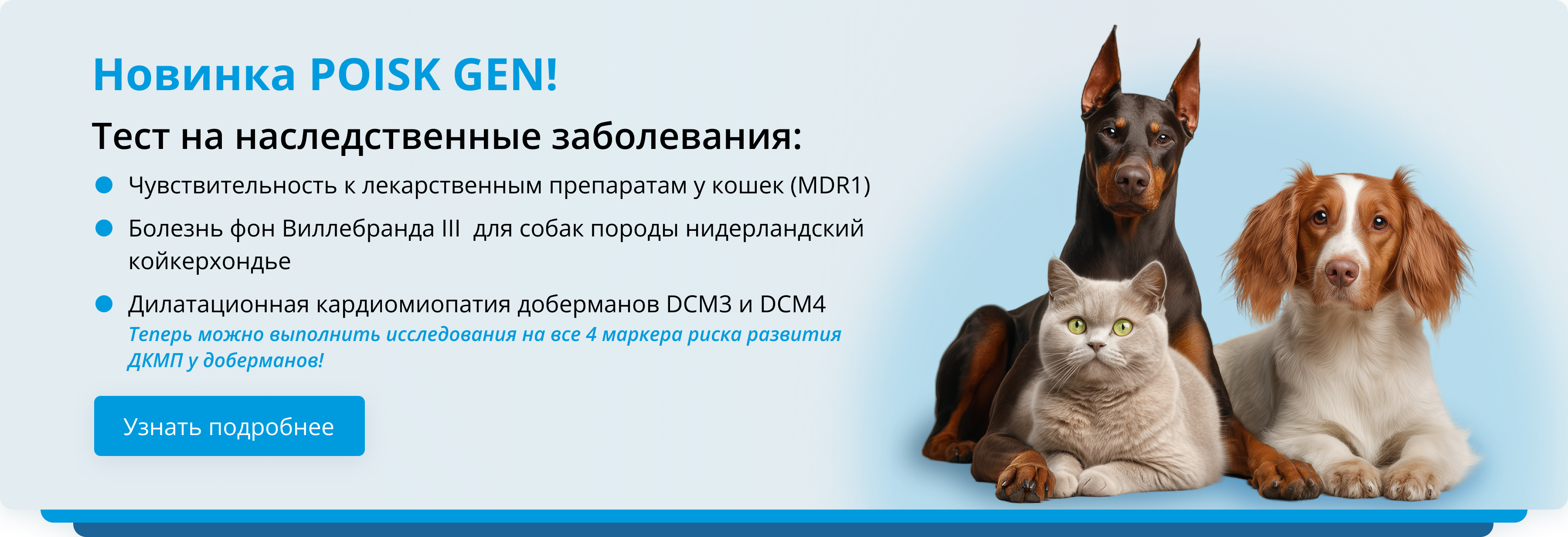 Новинки поиск ген